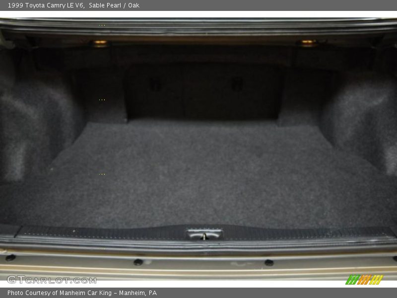 Sable Pearl / Oak 1999 Toyota Camry LE V6