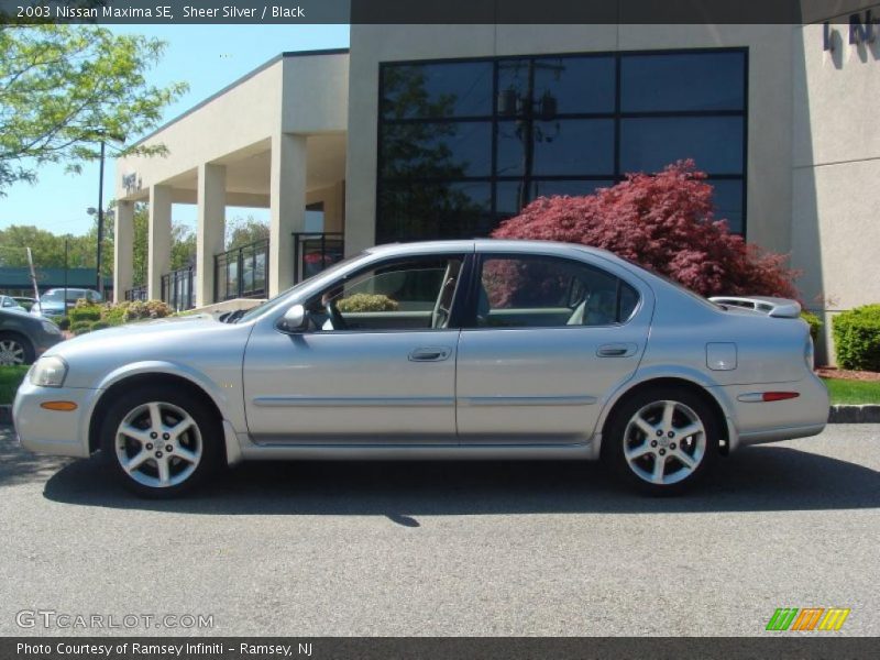 Sheer Silver / Black 2003 Nissan Maxima SE