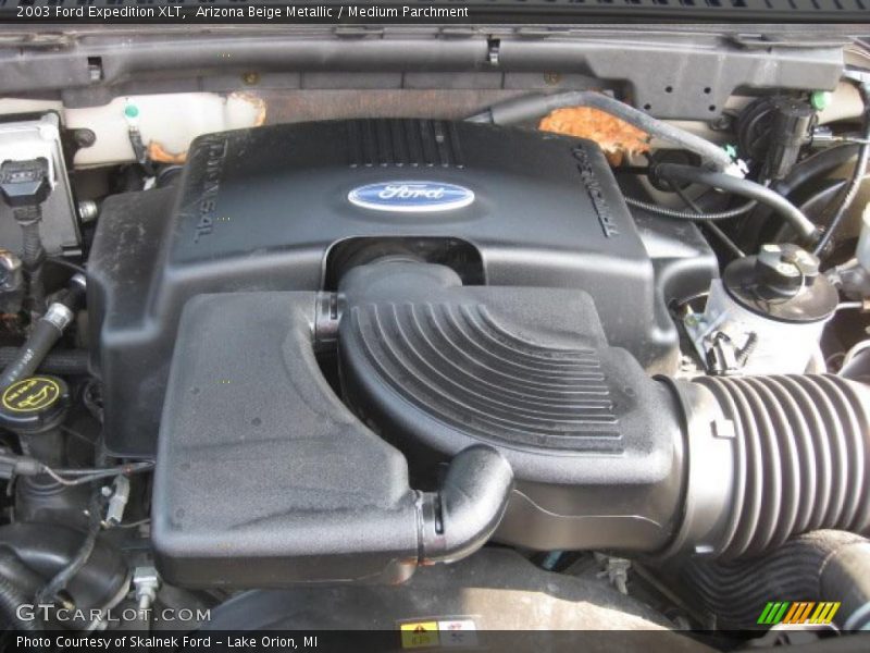 Arizona Beige Metallic / Medium Parchment 2003 Ford Expedition XLT