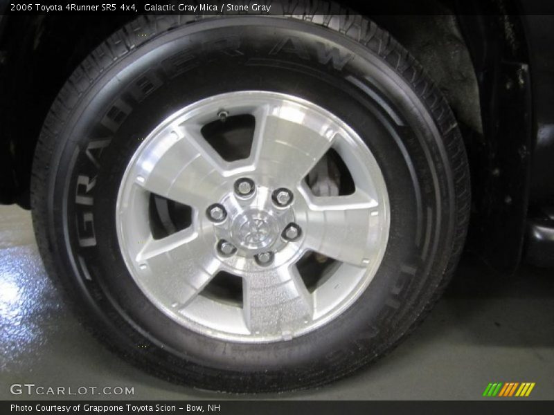 Galactic Gray Mica / Stone Gray 2006 Toyota 4Runner SR5 4x4