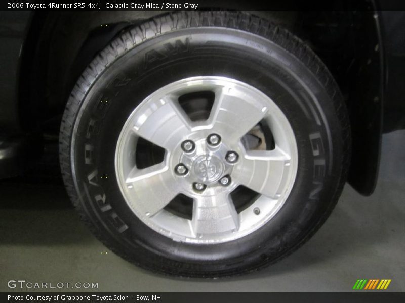 Galactic Gray Mica / Stone Gray 2006 Toyota 4Runner SR5 4x4