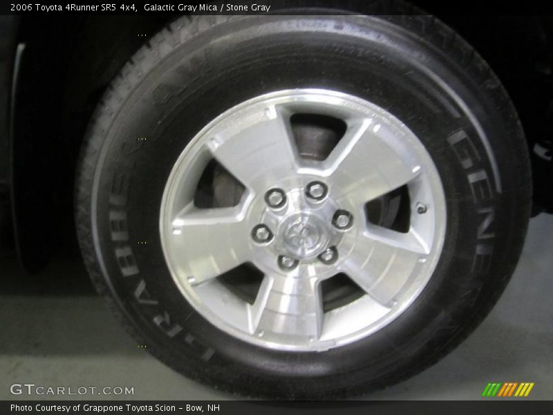 Galactic Gray Mica / Stone Gray 2006 Toyota 4Runner SR5 4x4