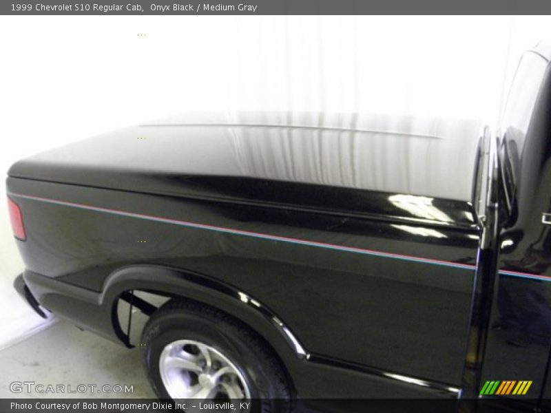 Onyx Black / Medium Gray 1999 Chevrolet S10 Regular Cab