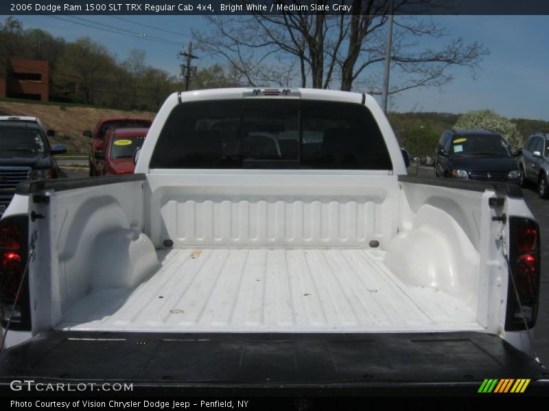 Bright White / Medium Slate Gray 2006 Dodge Ram 1500 SLT TRX Regular Cab 4x4