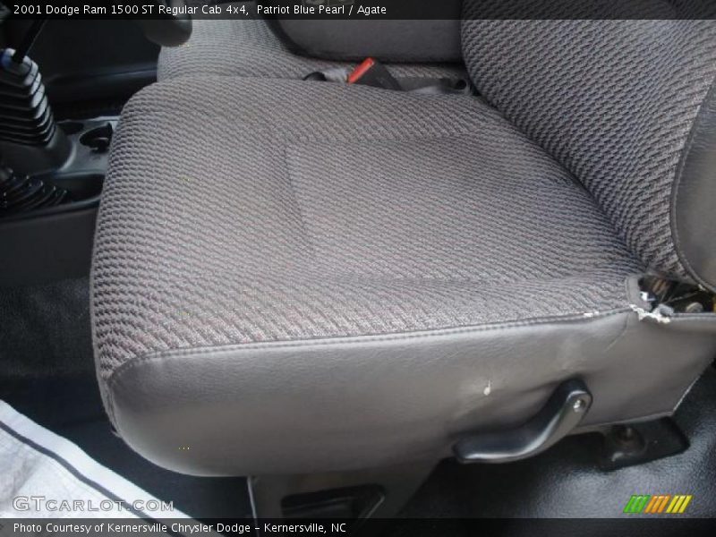 Patriot Blue Pearl / Agate 2001 Dodge Ram 1500 ST Regular Cab 4x4