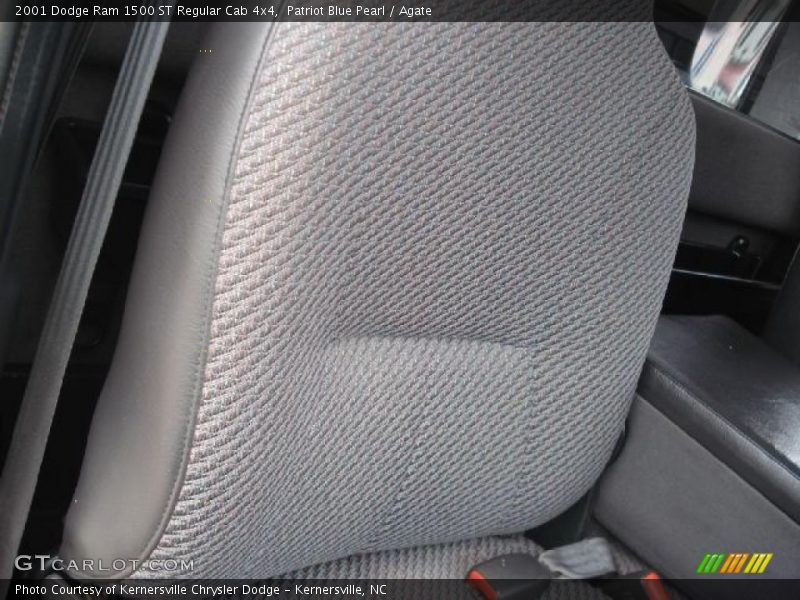 Patriot Blue Pearl / Agate 2001 Dodge Ram 1500 ST Regular Cab 4x4