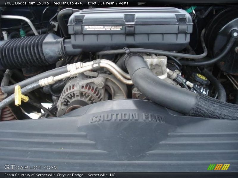 Patriot Blue Pearl / Agate 2001 Dodge Ram 1500 ST Regular Cab 4x4