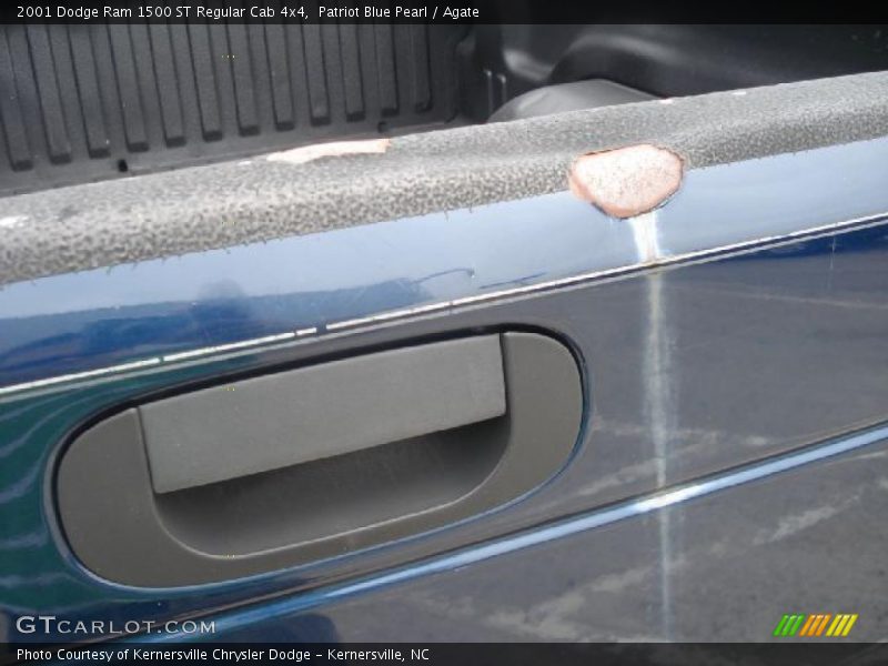Patriot Blue Pearl / Agate 2001 Dodge Ram 1500 ST Regular Cab 4x4