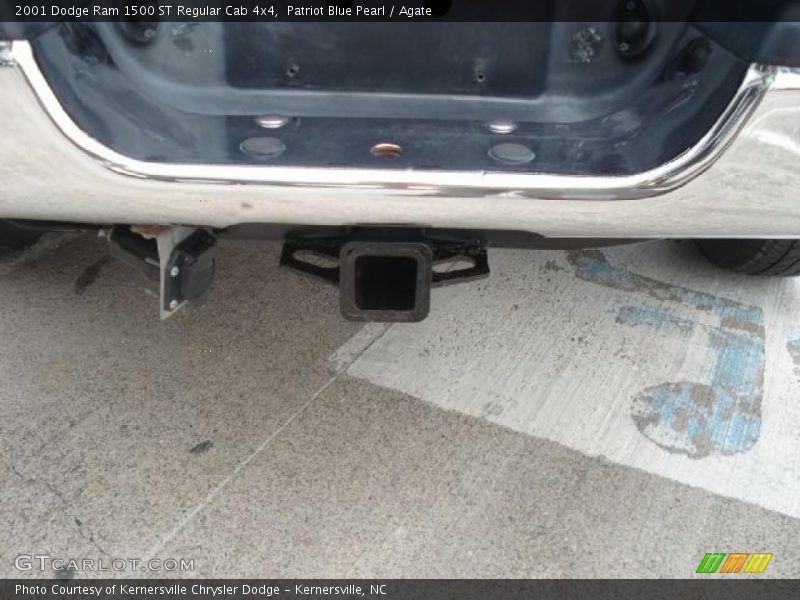 Patriot Blue Pearl / Agate 2001 Dodge Ram 1500 ST Regular Cab 4x4