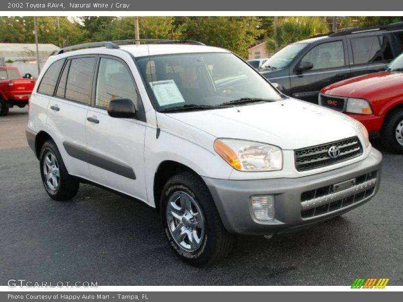 Natural White / Gray 2002 Toyota RAV4