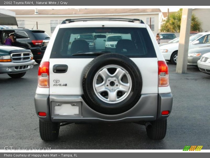 Natural White / Gray 2002 Toyota RAV4