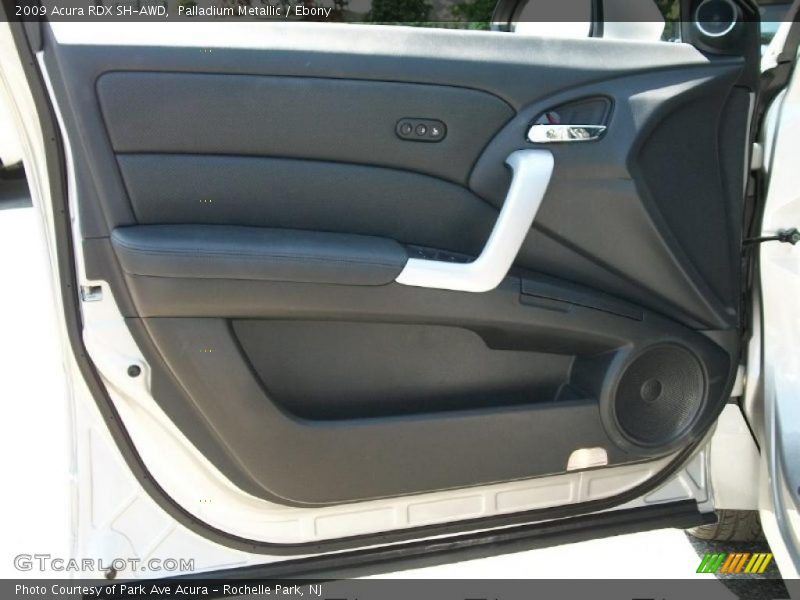 Palladium Metallic / Ebony 2009 Acura RDX SH-AWD