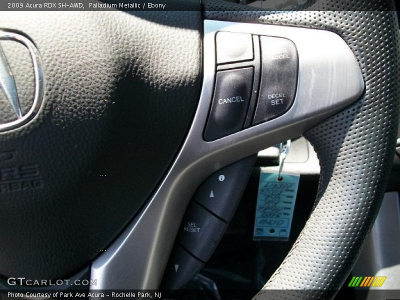 Palladium Metallic / Ebony 2009 Acura RDX SH-AWD