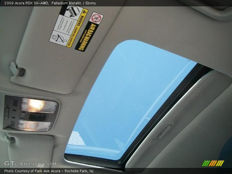 Palladium Metallic / Ebony 2009 Acura RDX SH-AWD