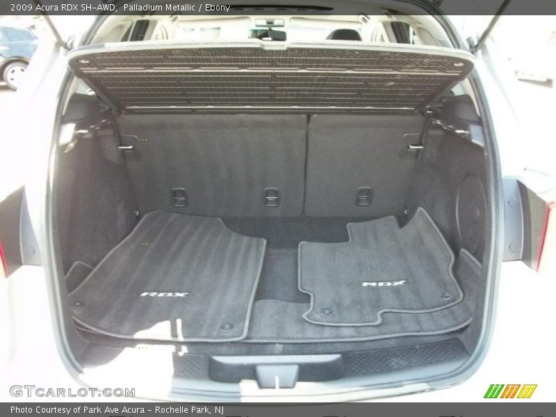 Palladium Metallic / Ebony 2009 Acura RDX SH-AWD