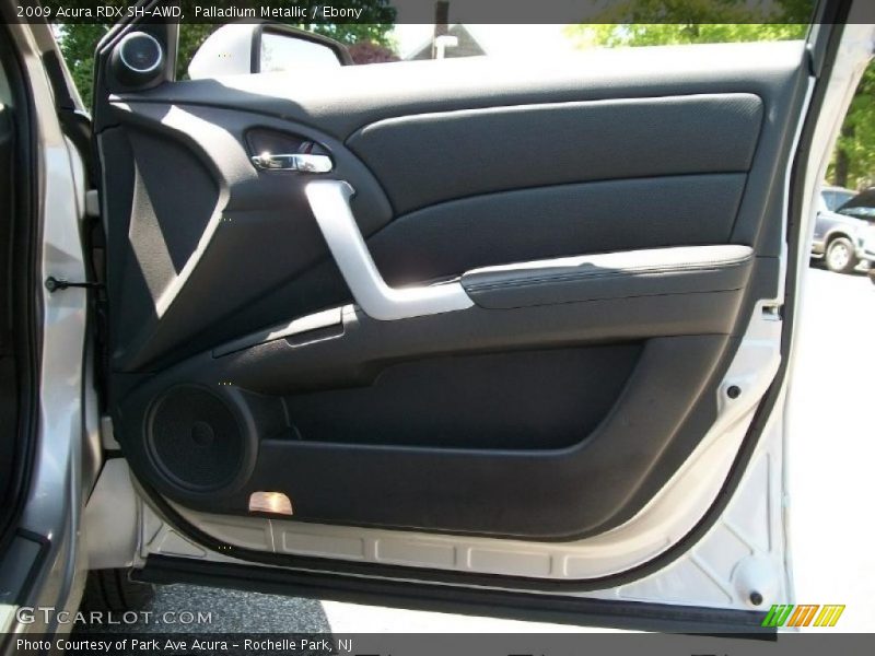 Palladium Metallic / Ebony 2009 Acura RDX SH-AWD