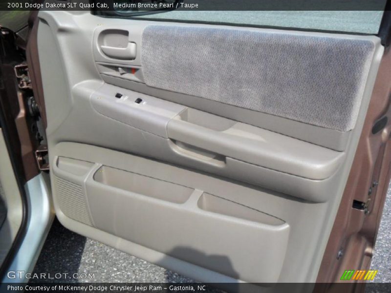 Door Panel of 2001 Dakota SLT Quad Cab