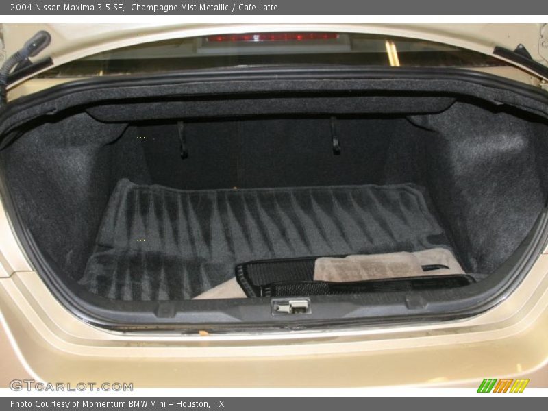 Champagne Mist Metallic / Cafe Latte 2004 Nissan Maxima 3.5 SE