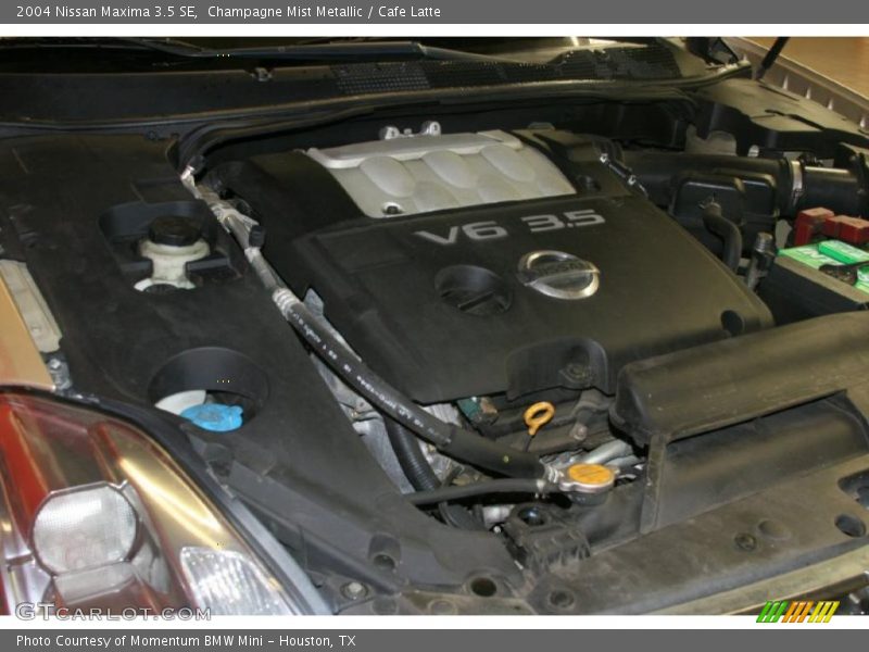 Champagne Mist Metallic / Cafe Latte 2004 Nissan Maxima 3.5 SE
