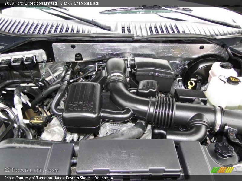  2009 Expedition Limited Engine - 5.4 Liter SOHC 24-Valve Flex-Fuel V8