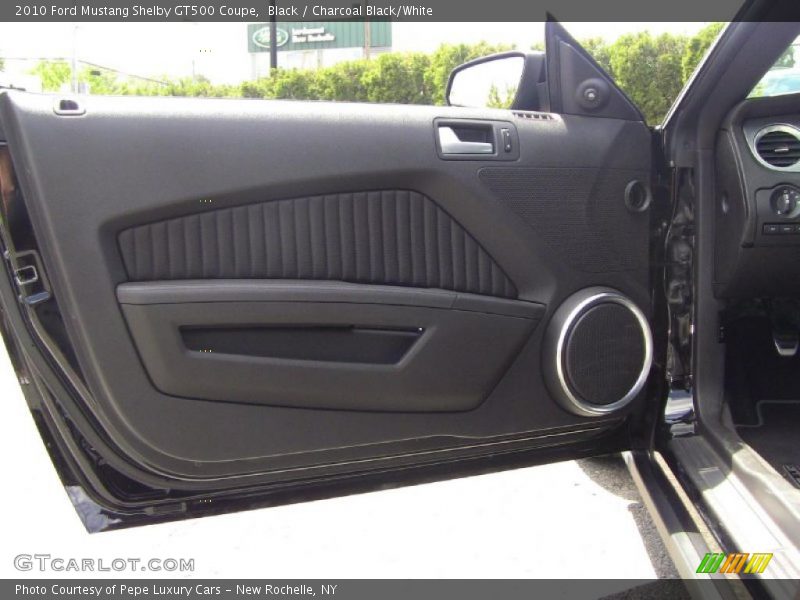 Door Panel of 2010 Mustang Shelby GT500 Coupe