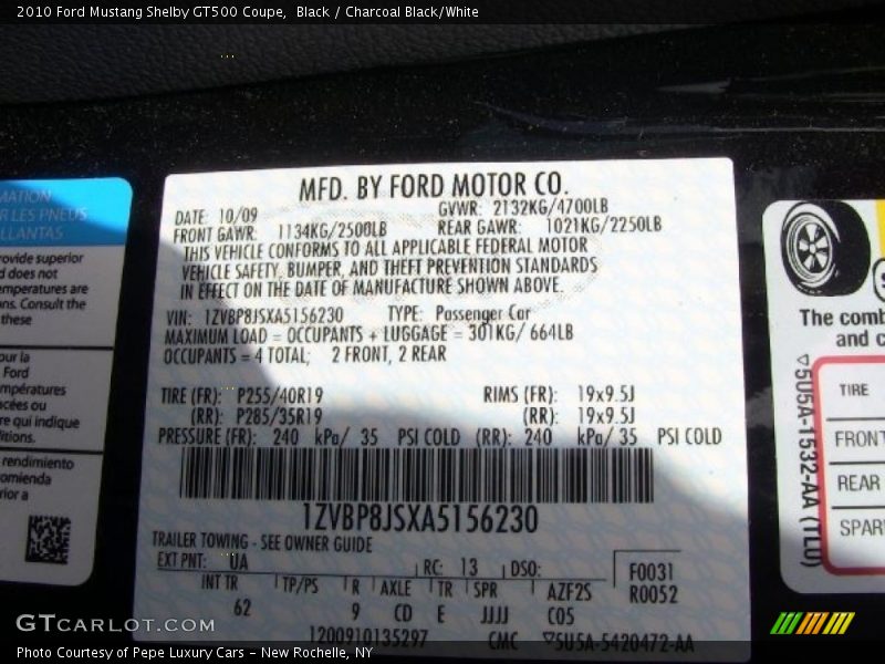 Black / Charcoal Black/White 2010 Ford Mustang Shelby GT500 Coupe