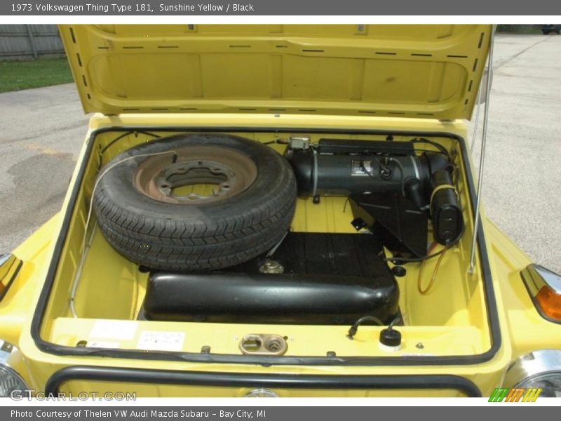  1973 Thing Type 181 Trunk