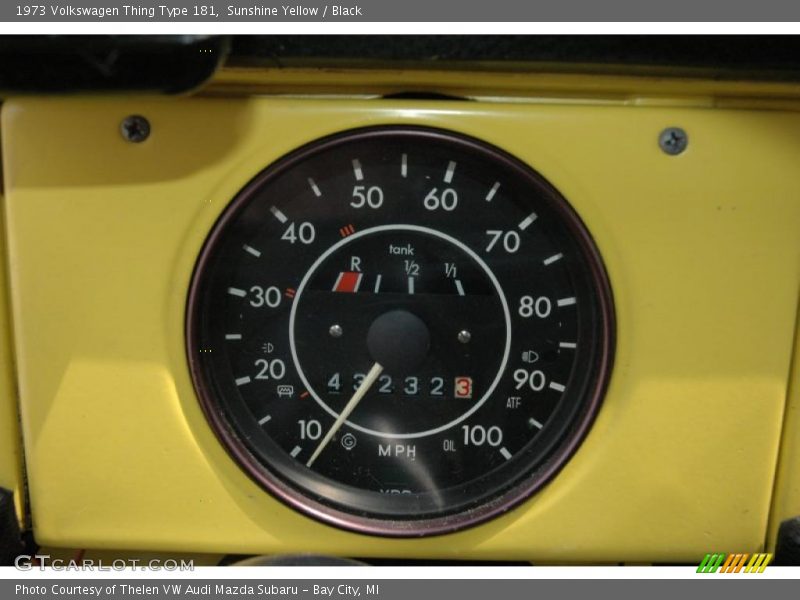  1973 Thing Type 181 Type 181 Gauges