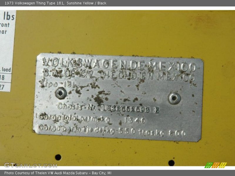 Info Tag of 1973 Thing Type 181