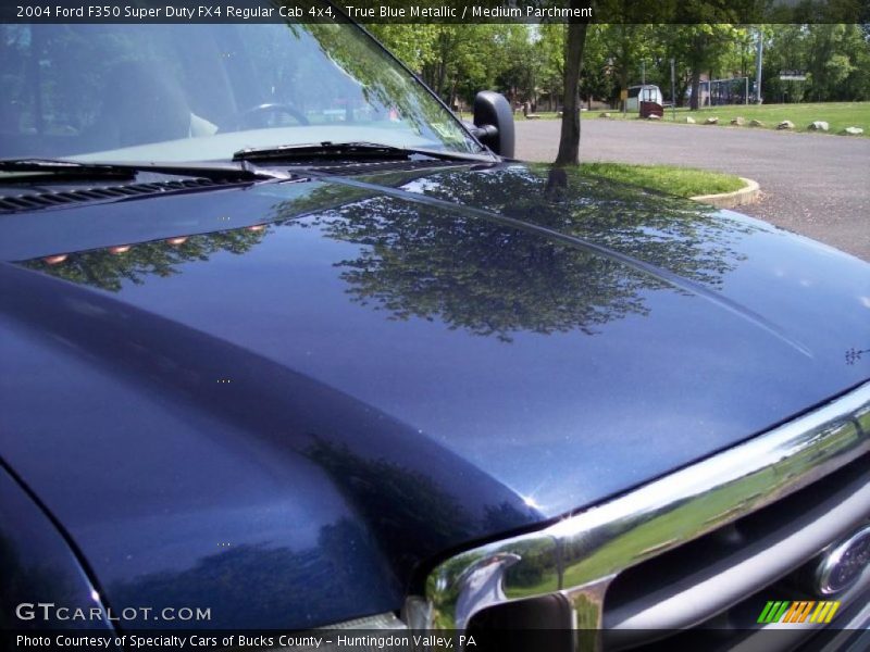 True Blue Metallic / Medium Parchment 2004 Ford F350 Super Duty FX4 Regular Cab 4x4