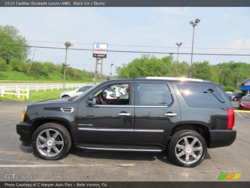 Black Ice / Ebony 2010 Cadillac Escalade Luxury AWD