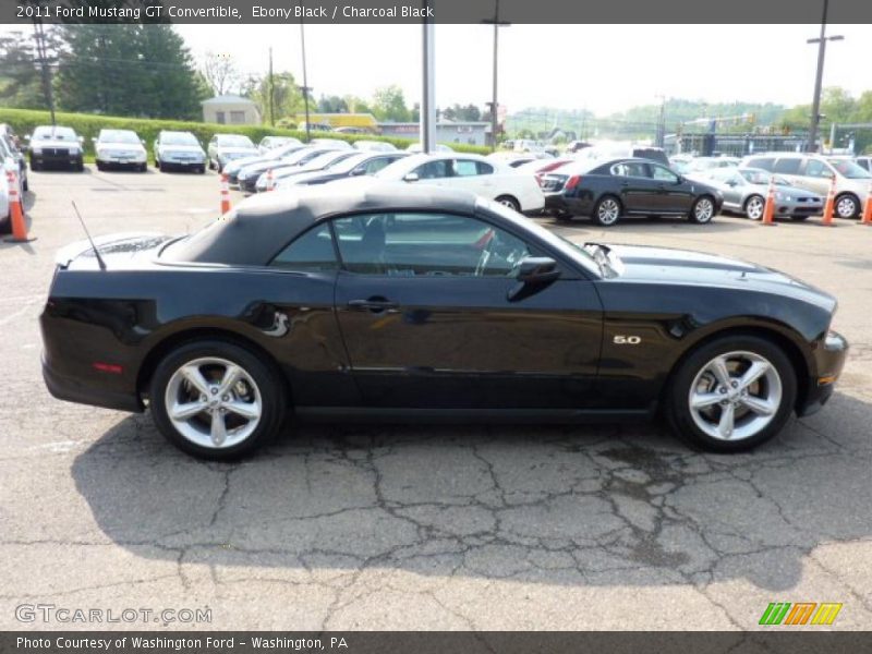 Ebony Black / Charcoal Black 2011 Ford Mustang GT Convertible