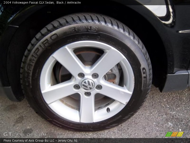  2004 Passat GLX Sedan Wheel