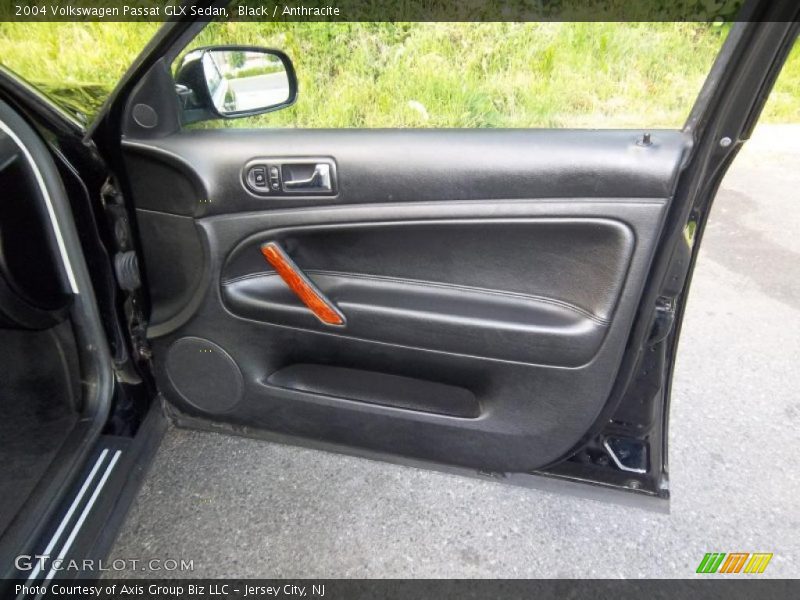 Door Panel of 2004 Passat GLX Sedan