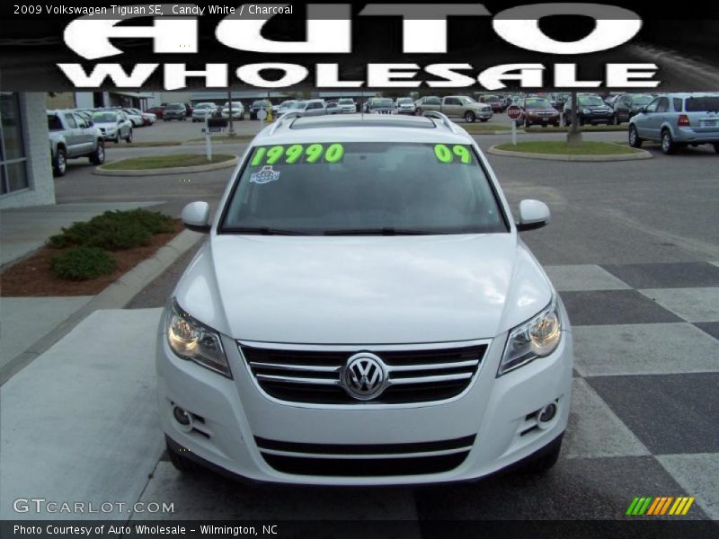 Candy White / Charcoal 2009 Volkswagen Tiguan SE