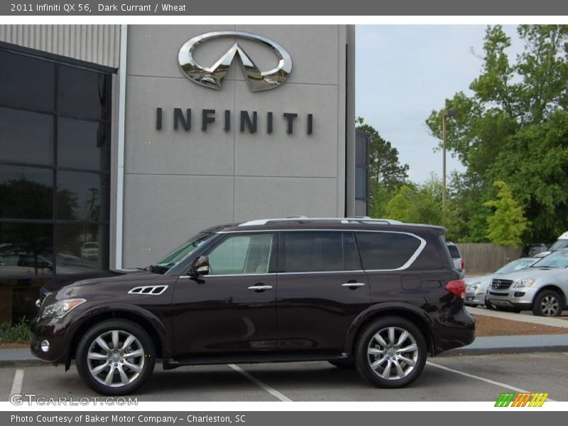 Dark Currant / Wheat 2011 Infiniti QX 56
