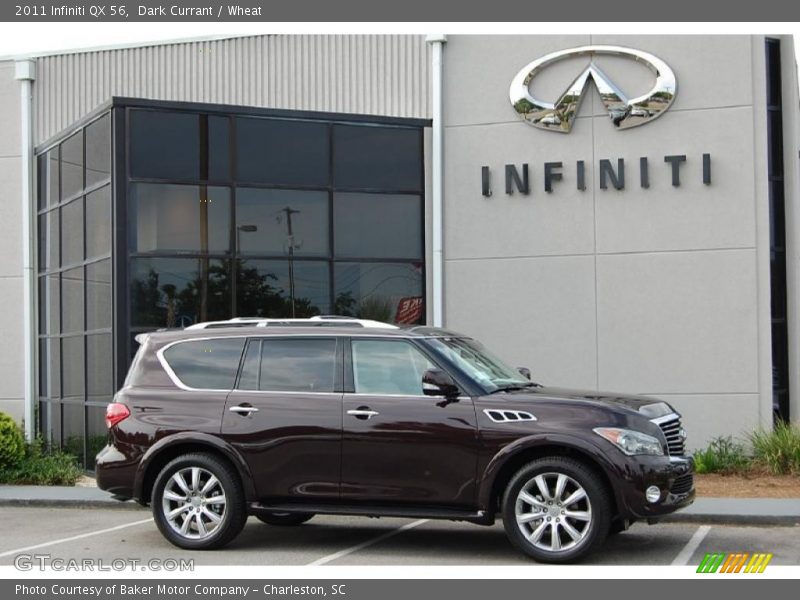Dark Currant / Wheat 2011 Infiniti QX 56