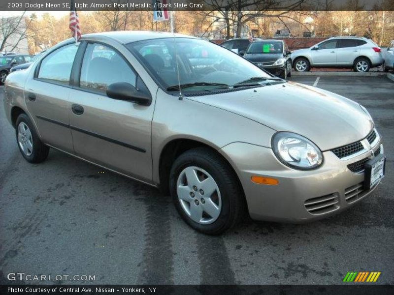 Light Almond Pearl Metallic / Dark Slate Gray 2003 Dodge Neon SE