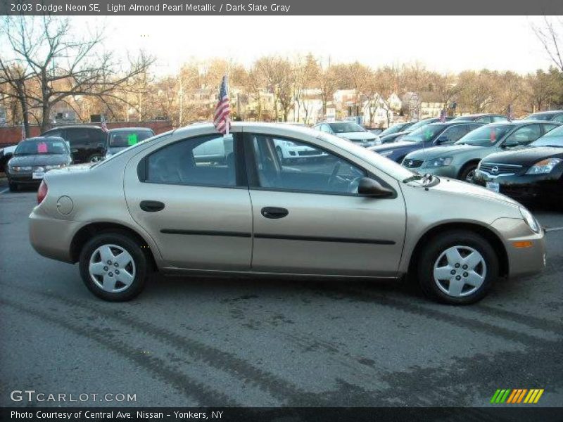 Light Almond Pearl Metallic / Dark Slate Gray 2003 Dodge Neon SE