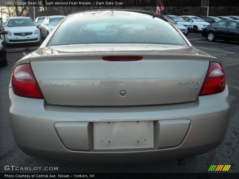 Light Almond Pearl Metallic / Dark Slate Gray 2003 Dodge Neon SE