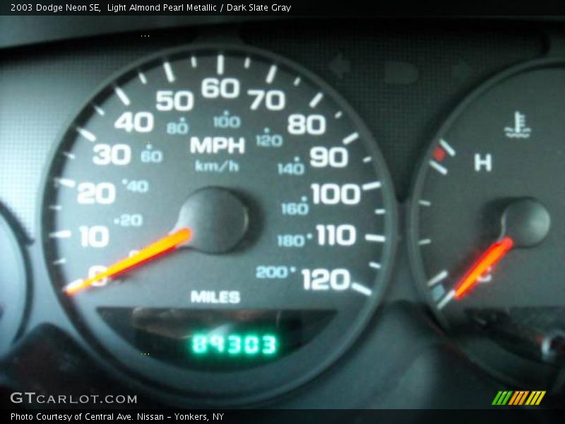 Light Almond Pearl Metallic / Dark Slate Gray 2003 Dodge Neon SE