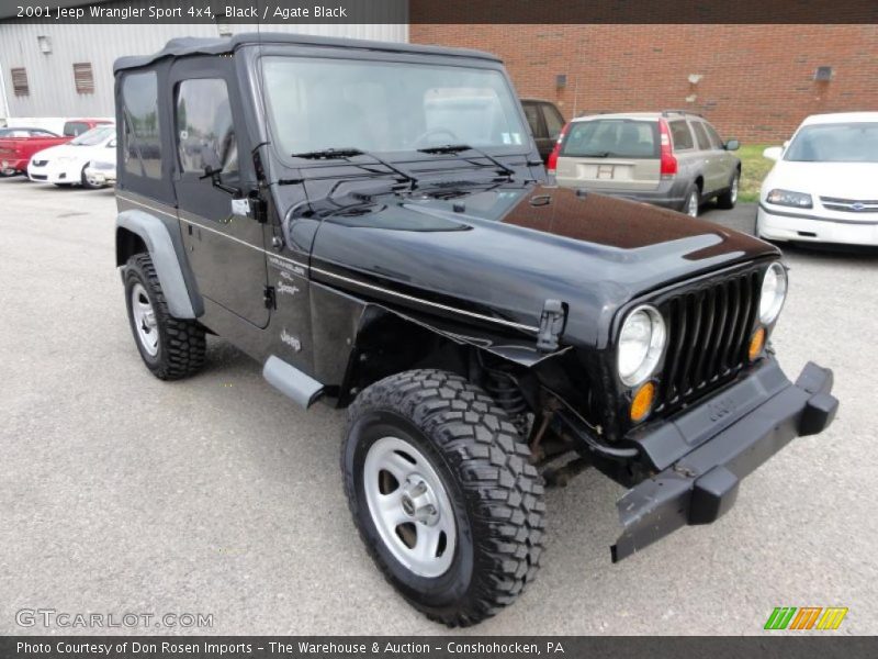 Black / Agate Black 2001 Jeep Wrangler Sport 4x4
