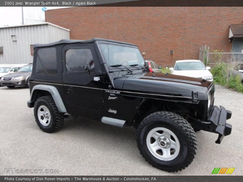 Black / Agate Black 2001 Jeep Wrangler Sport 4x4