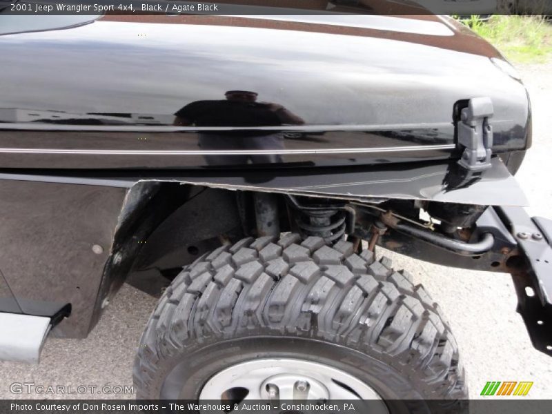 Black / Agate Black 2001 Jeep Wrangler Sport 4x4