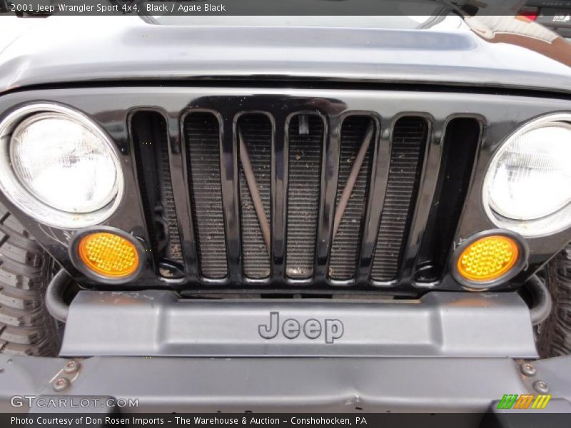 Black / Agate Black 2001 Jeep Wrangler Sport 4x4