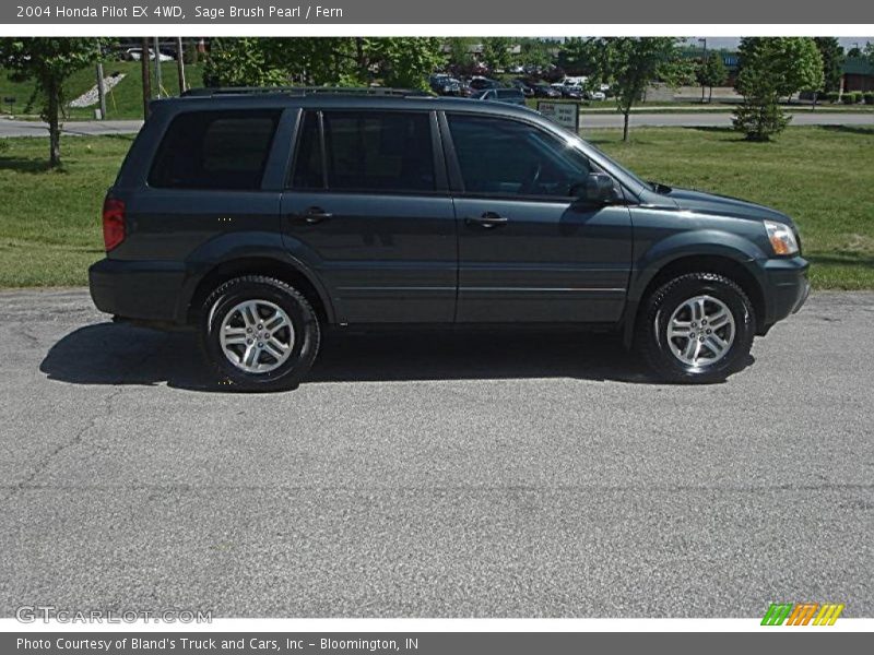 Sage Brush Pearl / Fern 2004 Honda Pilot EX 4WD