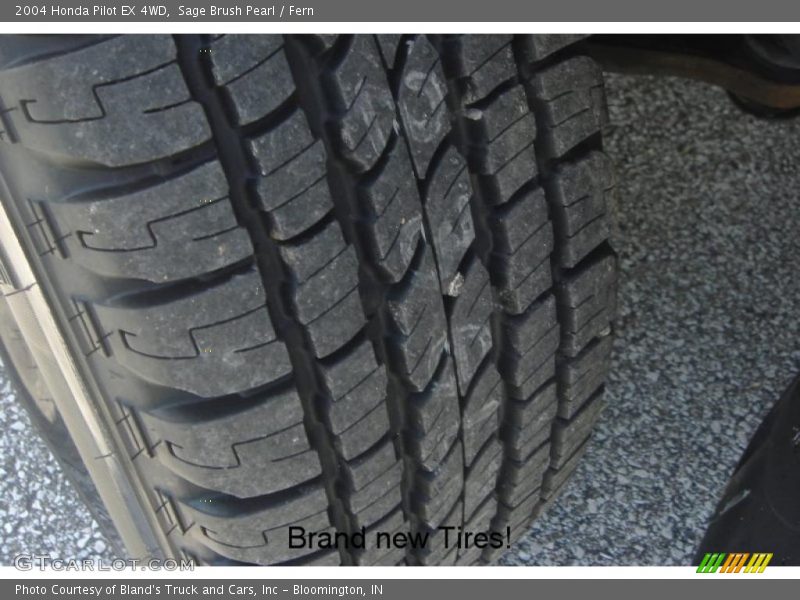Sage Brush Pearl / Fern 2004 Honda Pilot EX 4WD