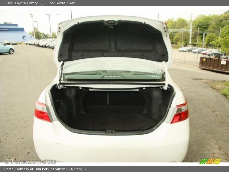 Super White / Ash 2009 Toyota Camry LE