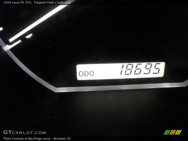 Tungsten Pearl / Light Gray 2009 Lexus RX 350