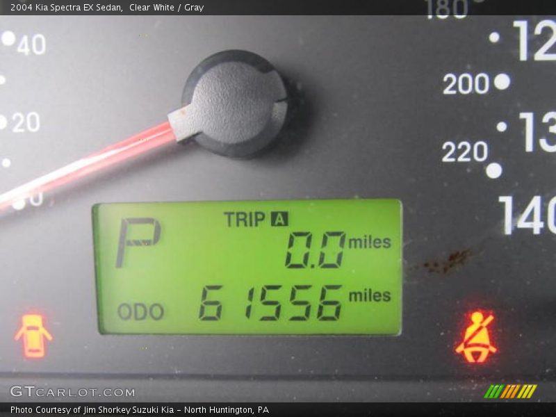 Clear White / Gray 2004 Kia Spectra EX Sedan